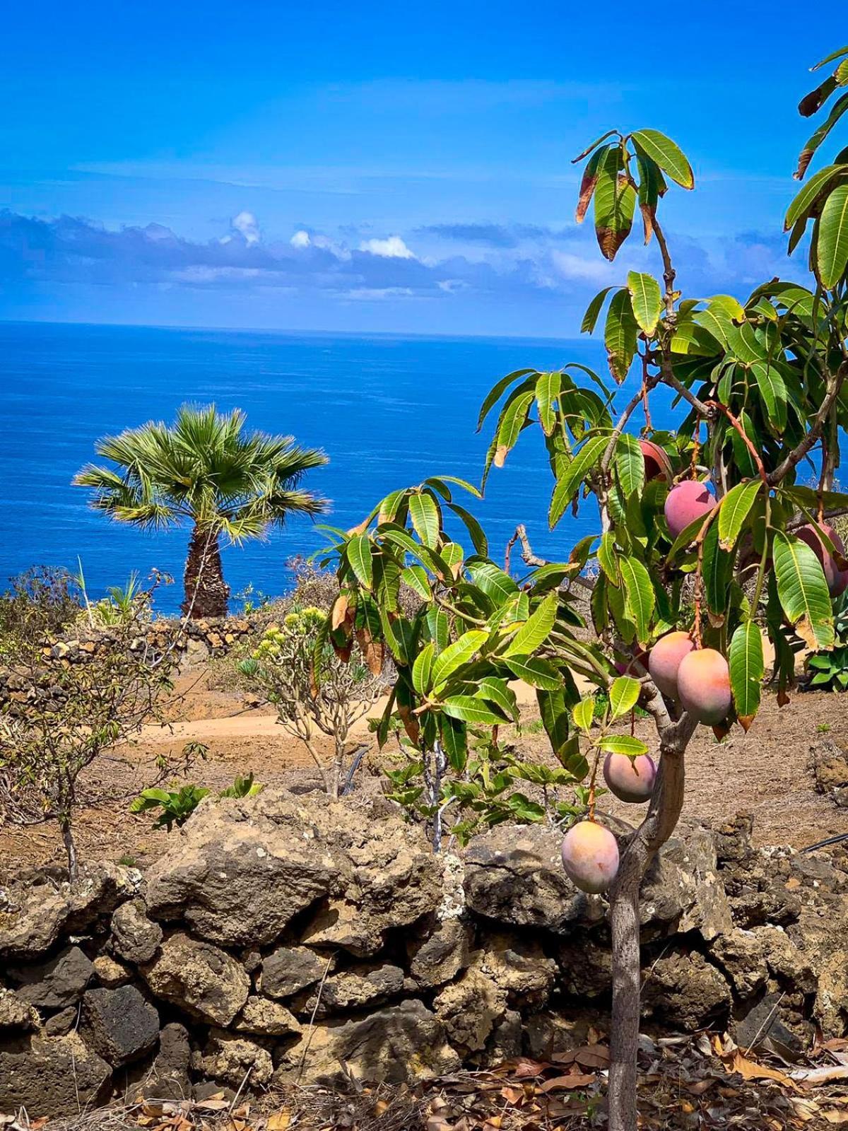 La Torre Villa Pozo de las Calcosas Dış mekan fotoğraf